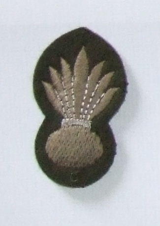 Grenadiers Sleeve Patch