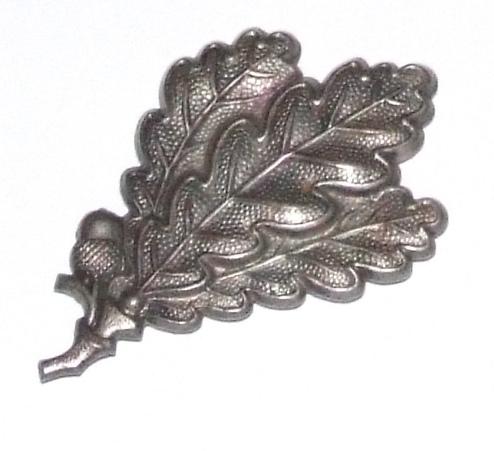 Jaeger Division Cap Badge