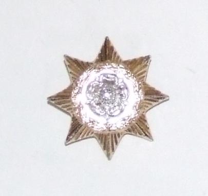 Yorkshire Regt Collar Dog