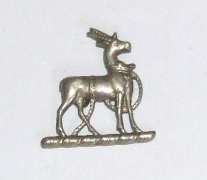 Royal Warwickshires Collar Dog